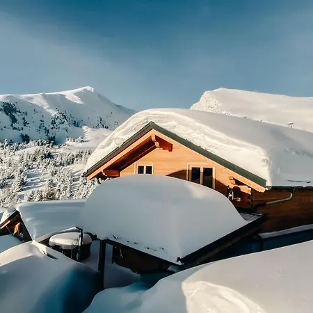 Heidi Chalets Falkert Heidialm - Chalets Bergwinter Patergassen Extérieur photo