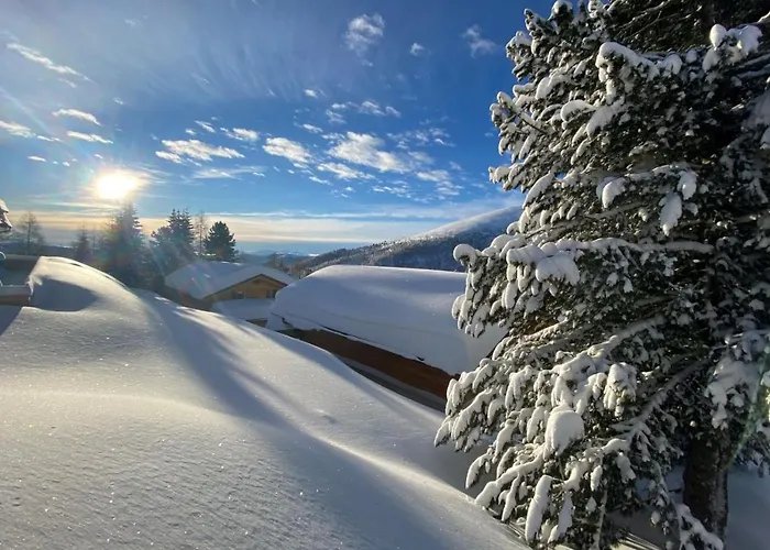 Heidi Chalets Falkert Heidialm - Chalets Bergwinter