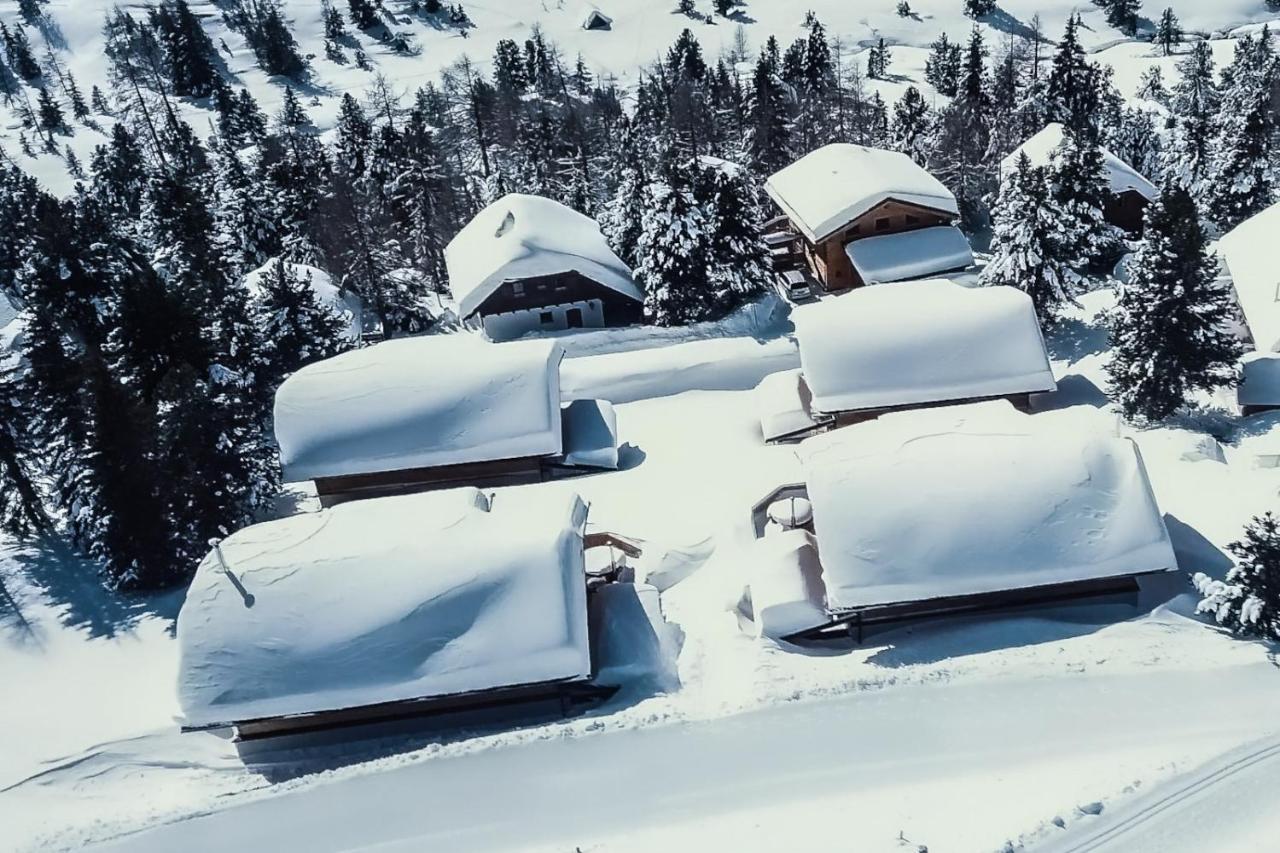 Heidi Falkert Heidialm - Bergwinter Patergassen